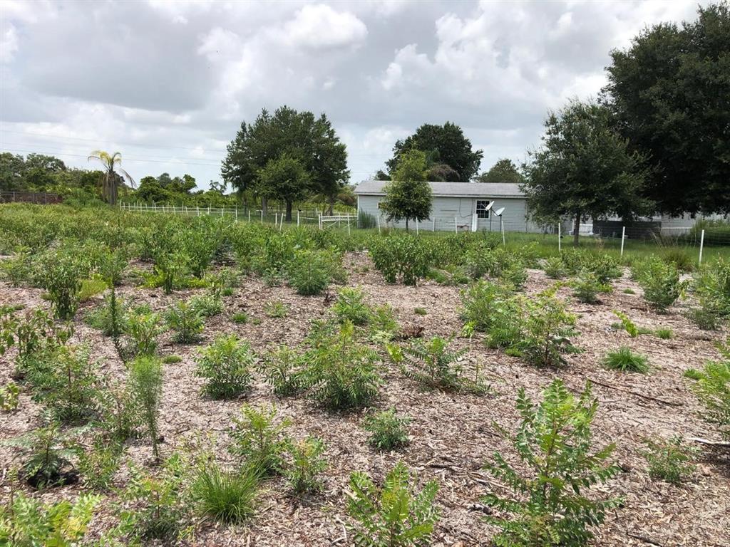 Property for sale at DUCK KEY STREET, LAKE WALES, FL, 33859