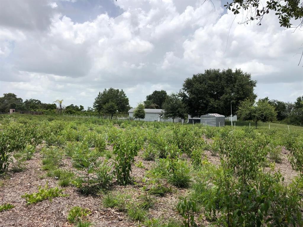 Property for sale at DUCK KEY STREET, LAKE WALES, FL, 33859