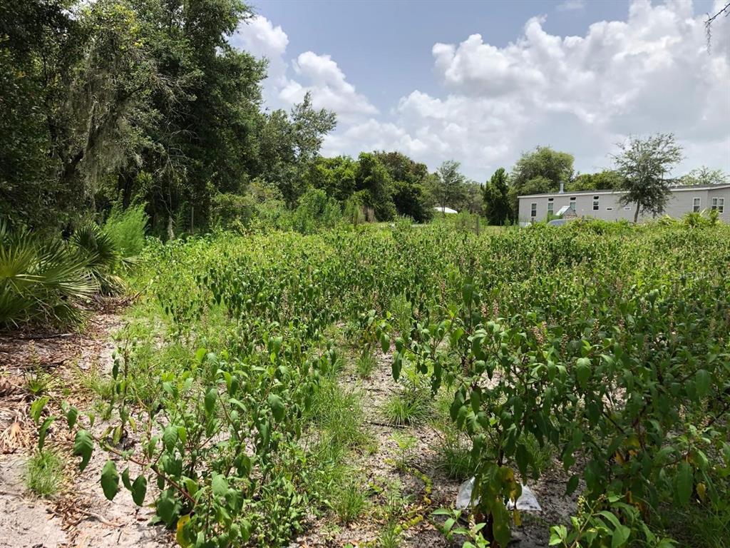 Property for sale at DUCK KEY STREET, LAKE WALES, FL, 33859