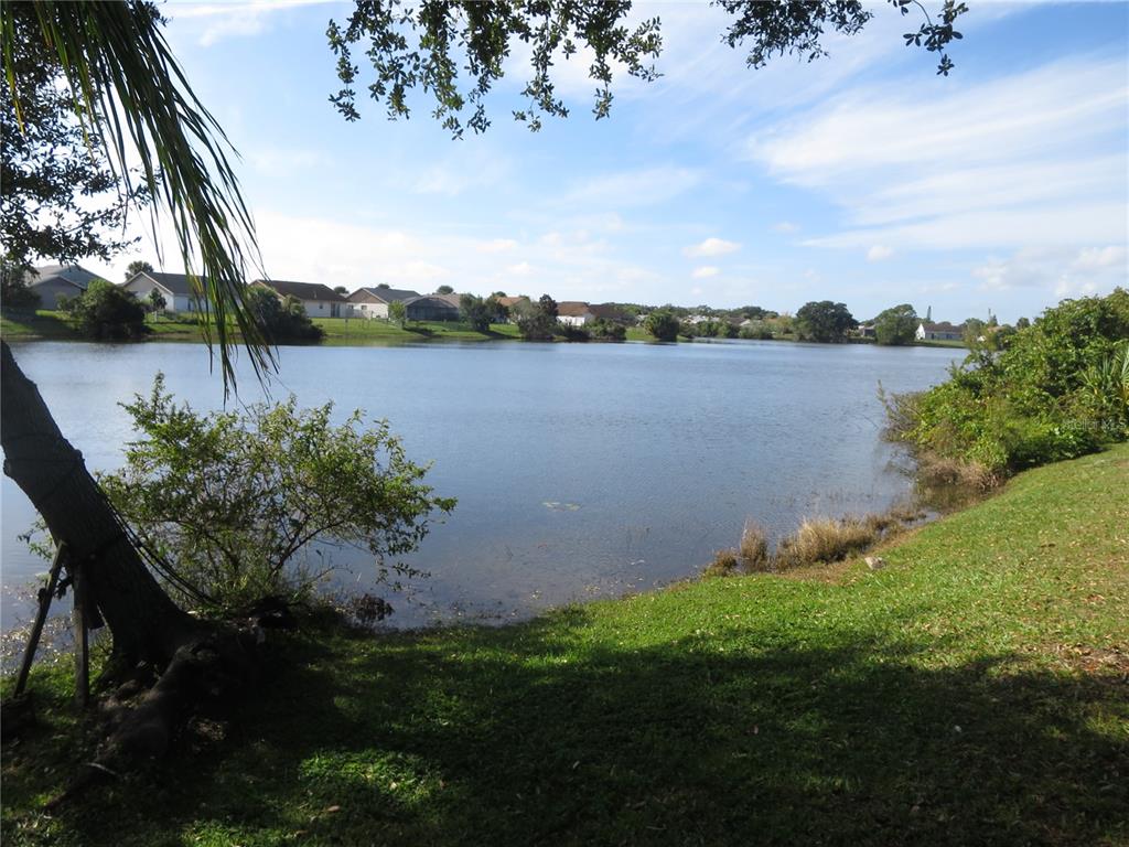 House Backyard Pond View