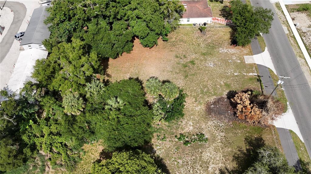 Property for sale at 41 E MICHAEL GLADDEN BOULEVARD, APOPKA, FL, 32703