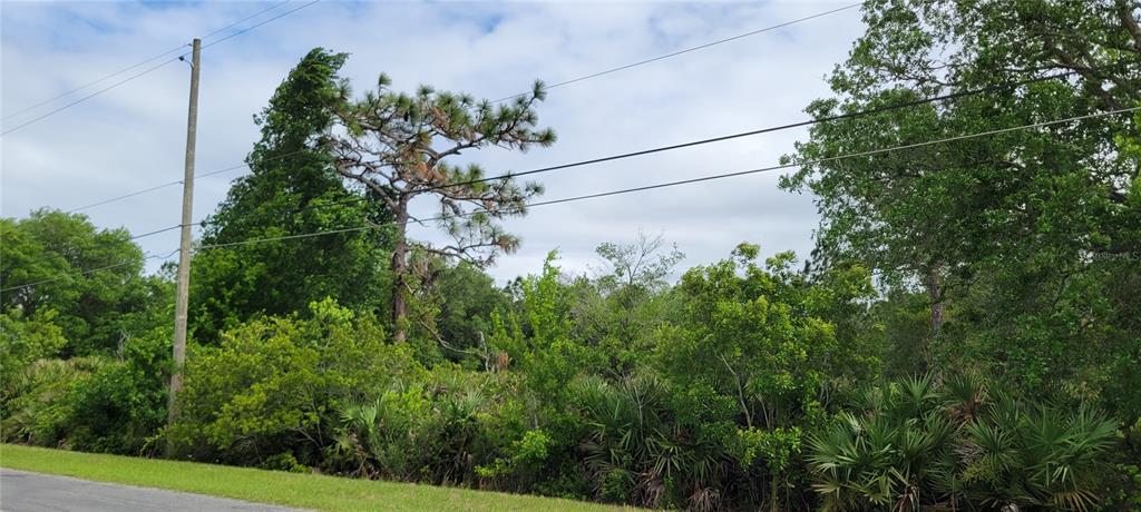 Property for sale at RALSTON STREET, ORLANDO, FL, 32833