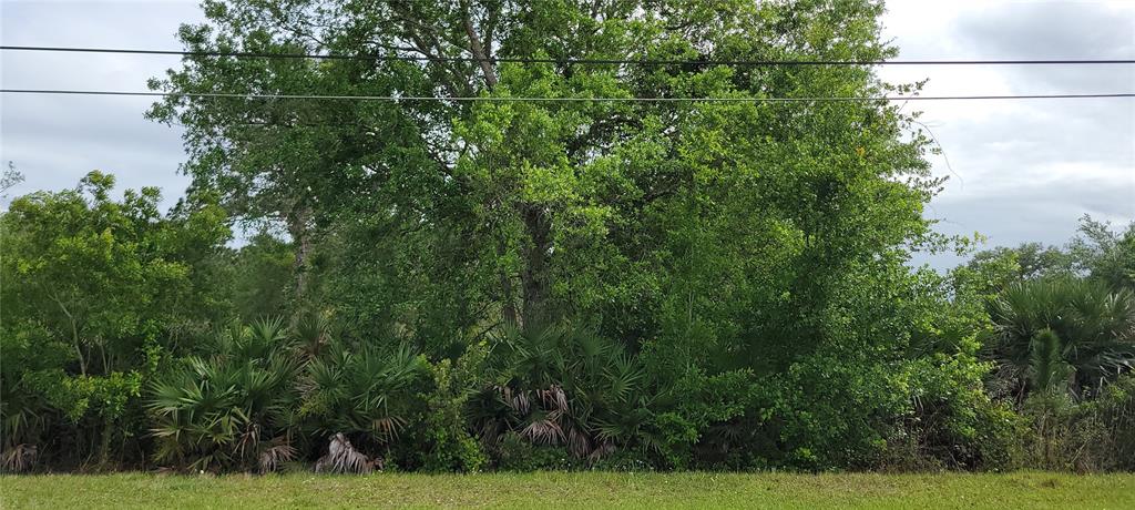 Property for sale at RALSTON STREET, ORLANDO, FL, 32833