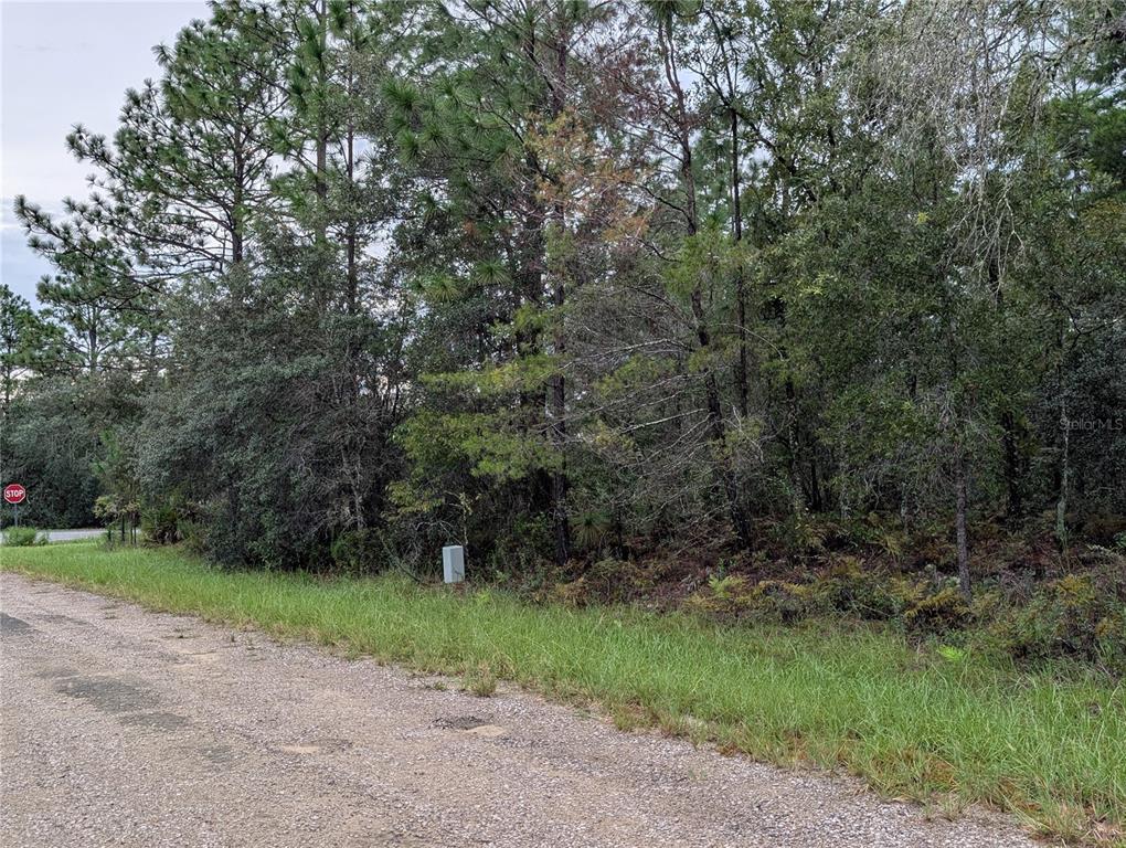 Property for sale at 6443 N DORIAN TERRACE, DUNNELLON, FL, 34433