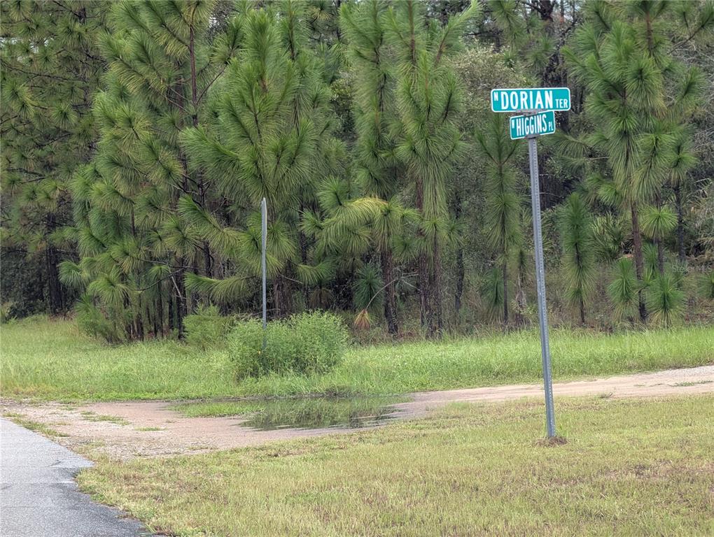 Property for sale at 6443 N DORIAN TERRACE, DUNNELLON, FL, 34433