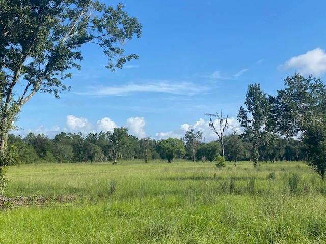 Property for sale at 5840 BOB SMITH AVENUE, PLANT CITY, FL, 33565