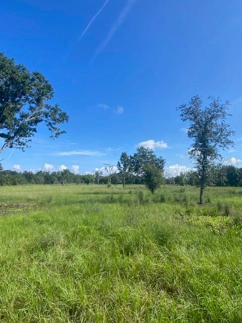 Property for sale at 5840 BOB SMITH AVENUE, PLANT CITY, FL, 33565