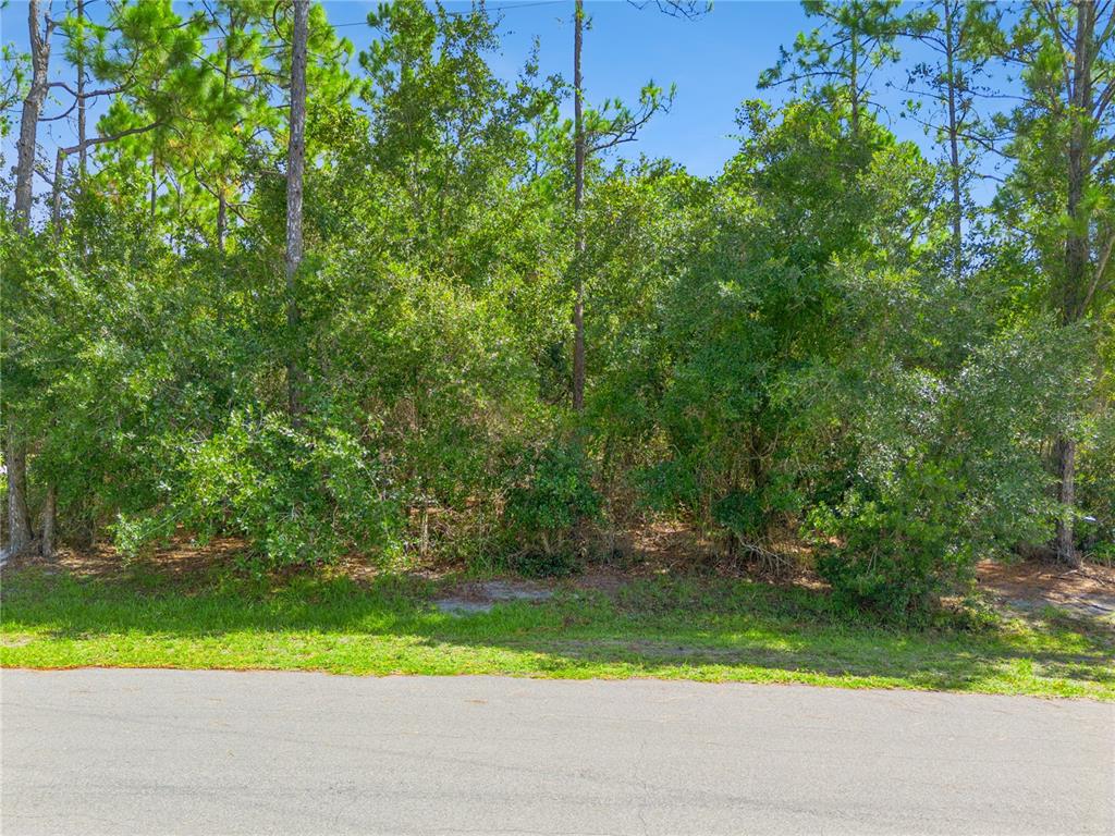 Property for sale at MUSTANG, ST CLOUD, FL, 34771