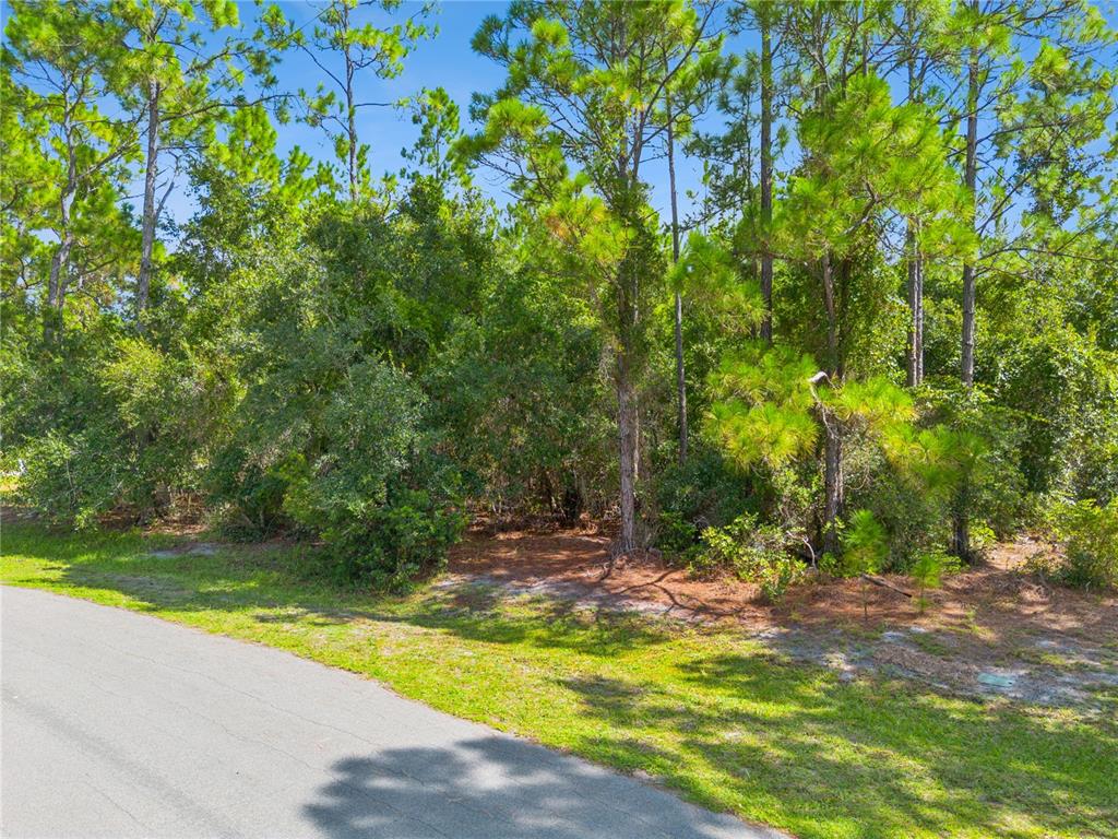 Property for sale at MUSTANG, ST CLOUD, FL, 34771