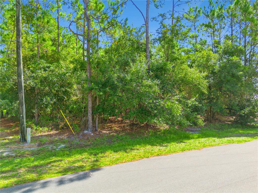 Property for sale at MUSTANG, ST CLOUD, FL, 34771