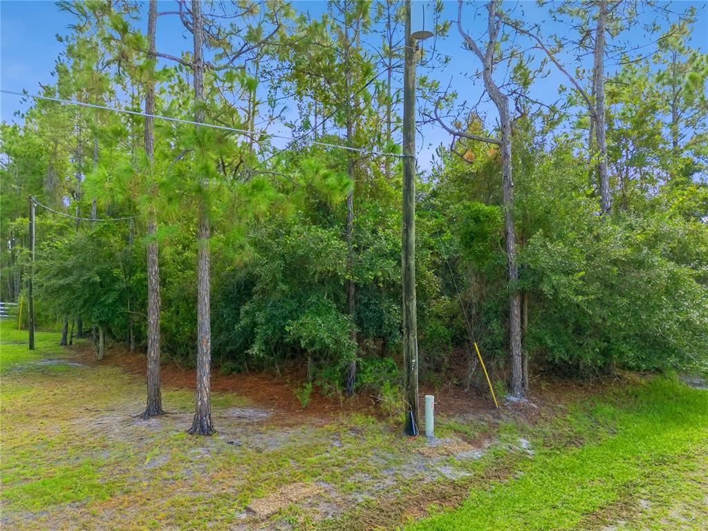 Property for sale at MUSTANG, ST CLOUD, FL, 34771