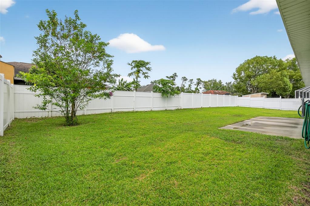 back yard