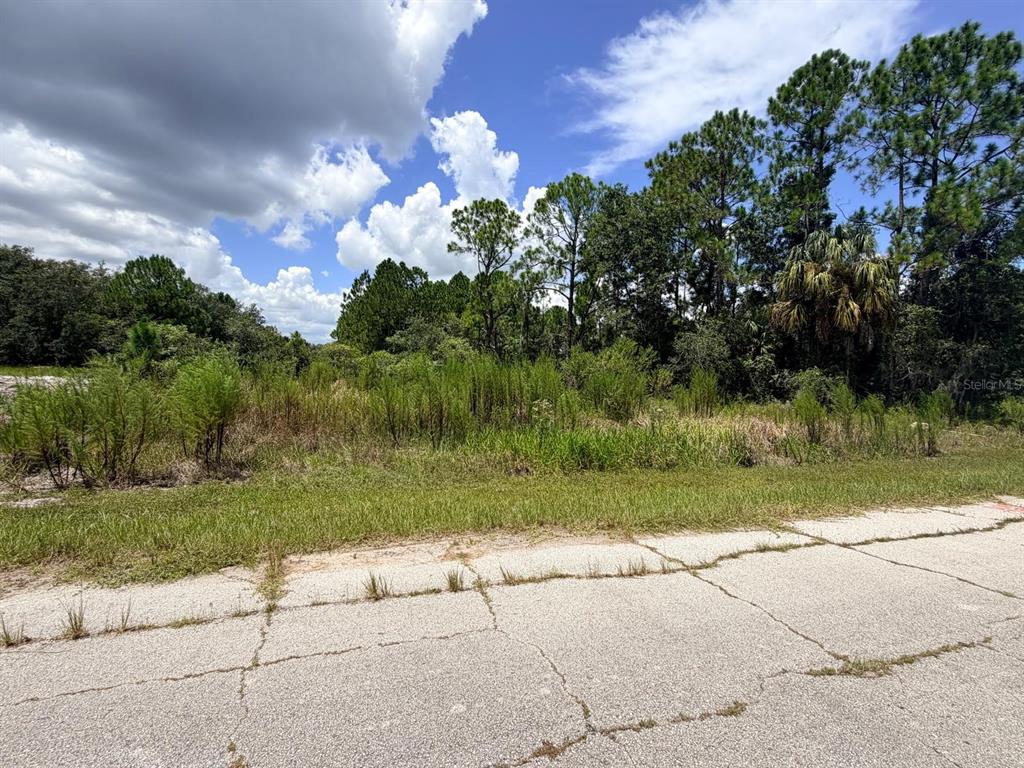 Property for sale at 1269 BALTIC DRIVE, POINCIANA, FL, 34759