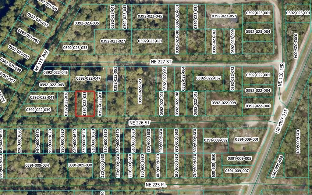 Property for sale at NE 226TH STREET, ORANGE SPRINGS, FL, 32182