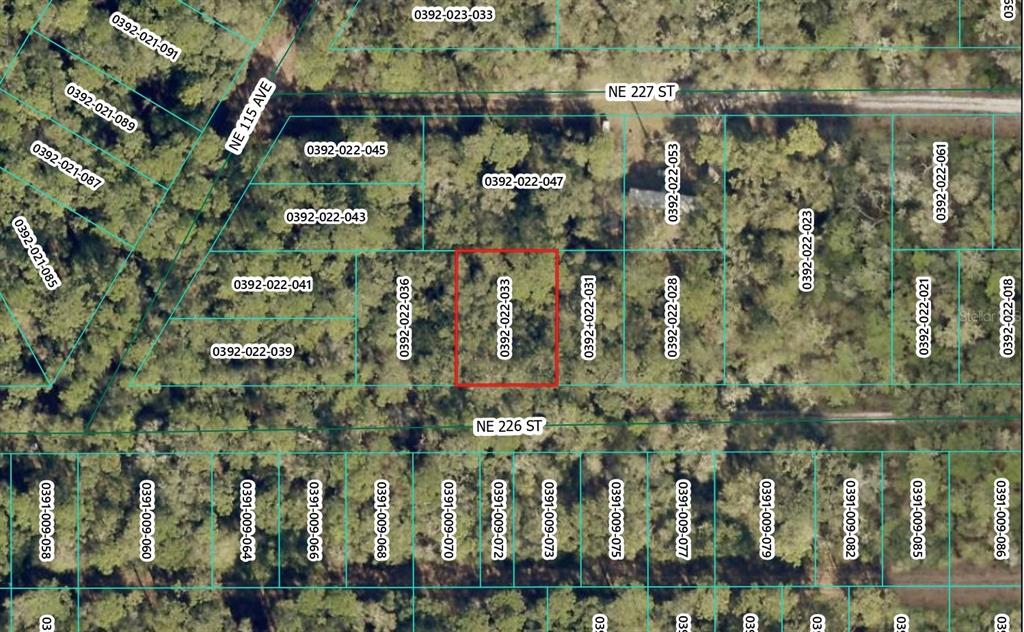 Property for sale at NE 226TH STREET, ORANGE SPRINGS, FL, 32182