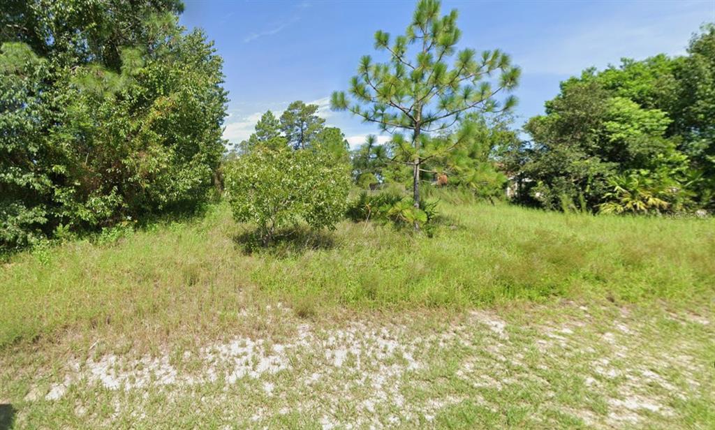 Property for sale at 10533 NODDY TERN ROAD, WEEKI WACHEE, FL, 34613