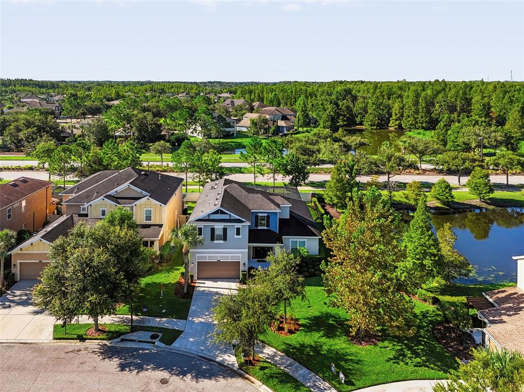 Property for sale at 8781 BELLA VITA CIRCLE, LAND O LAKES, FL, 34637