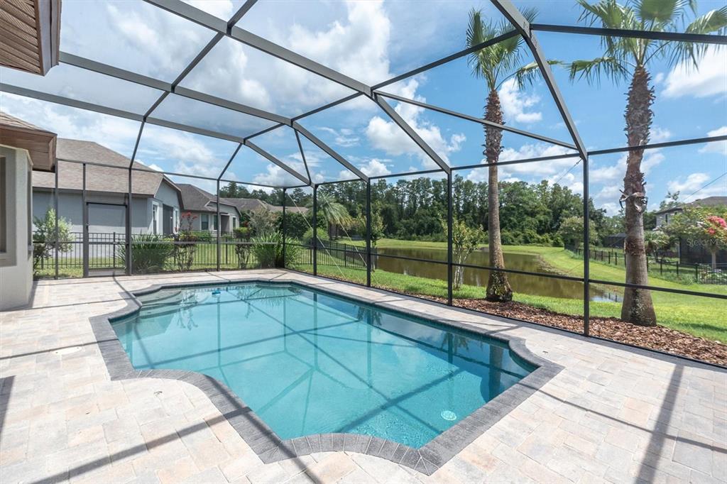 Screened-in Pool and Patio
