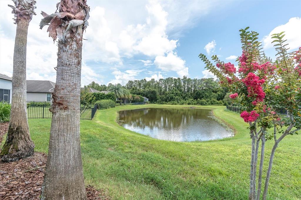 Backyard with Pond View