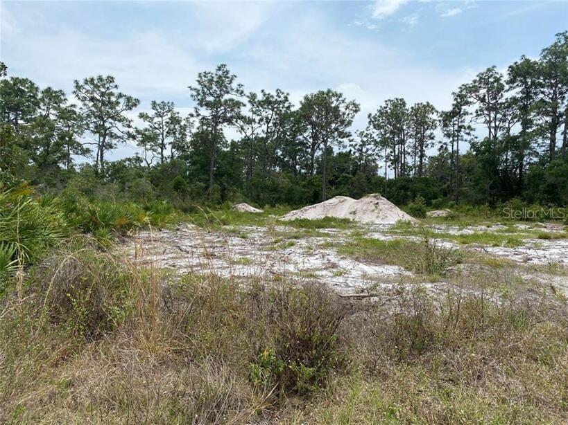 Property for sale at 6591 DELAND AVENUE, INDIAN LAKE ESTATES, FL, 33855