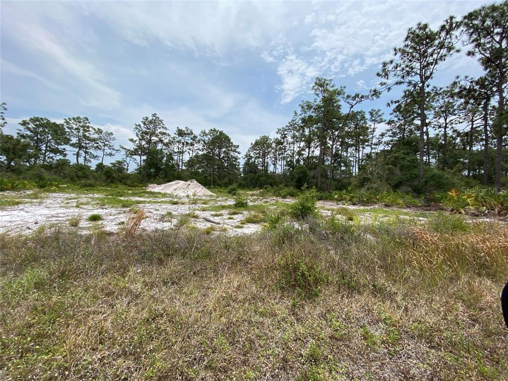 Property for sale at 6591 DELAND AVENUE, INDIAN LAKE ESTATES, FL, 33855