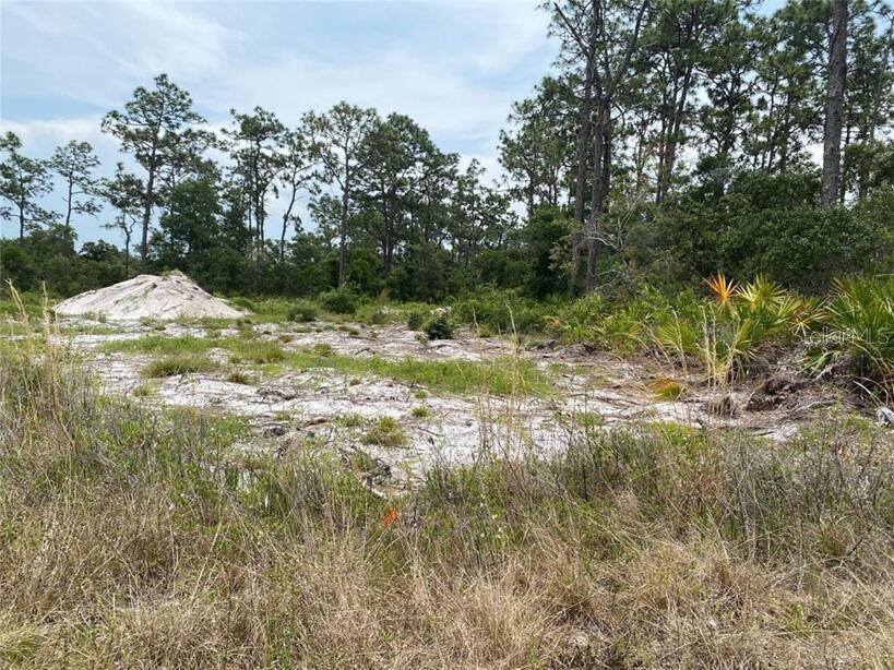 Property for sale at 6591 DELAND AVENUE, INDIAN LAKE ESTATES, FL, 33855