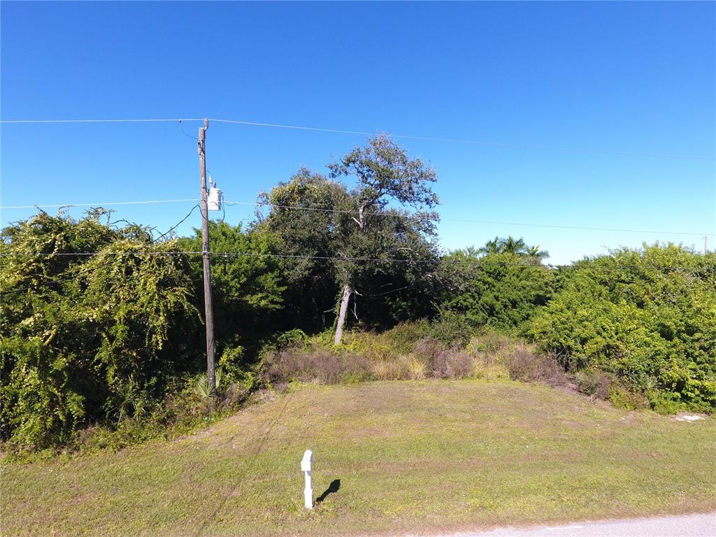 Partially cleared lot