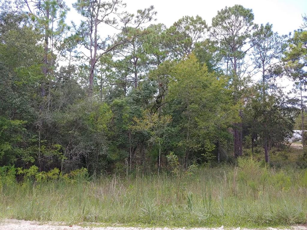 Property for sale at TBD SE 150TH AVENUE, MORRISTON, FL, 32668