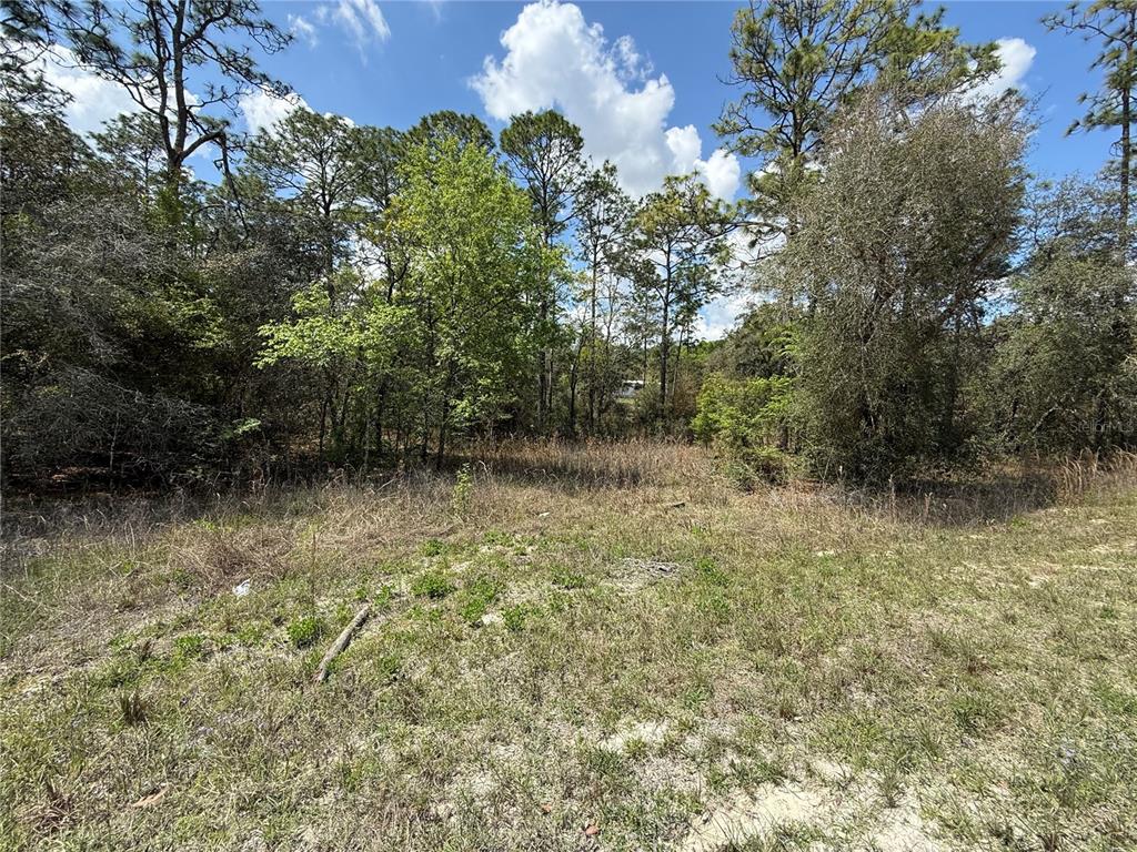 Property for sale at TBD SE 150TH AVENUE, MORRISTON, FL, 32668