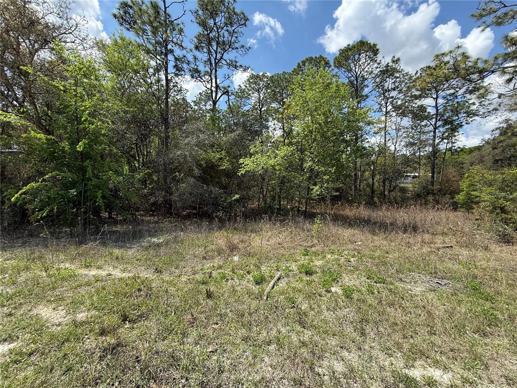 Property for sale at TBD SE 150TH AVENUE, MORRISTON, FL, 32668