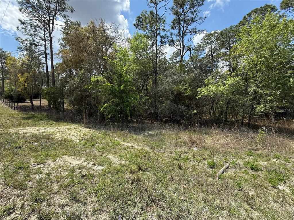 Property for sale at TBD SE 150TH AVENUE, MORRISTON, FL, 32668