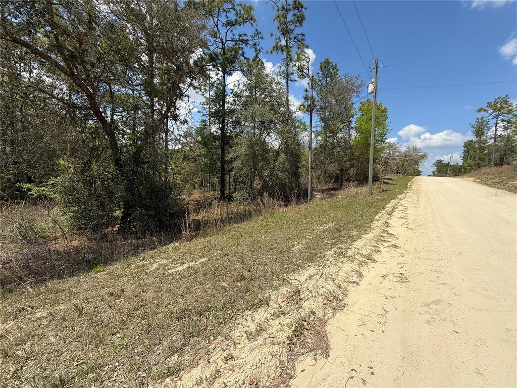 Property for sale at TBD SE 150TH AVENUE, MORRISTON, FL, 32668