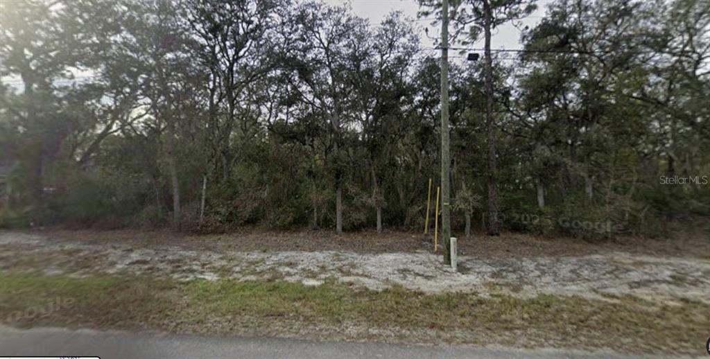 Property for sale at TBD SE FISHER WAY PL, OCKLAWAHA, FL, 32179