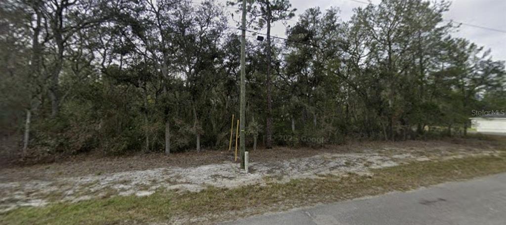 Property for sale at TBD SE FISHER WAY PL, OCKLAWAHA, FL, 32179
