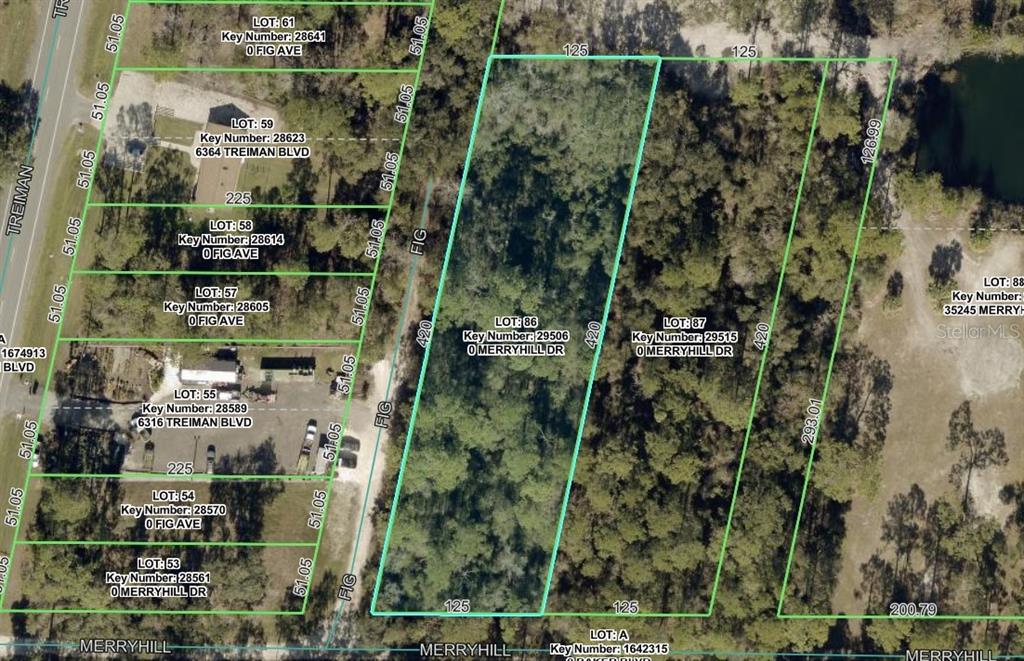 Property for sale at MERRYHILL DRIVE, WEBSTER, FL, 33597