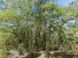 Property for sale at 491 E NEMO DRIVE, DUNNELLON, FL, 34434