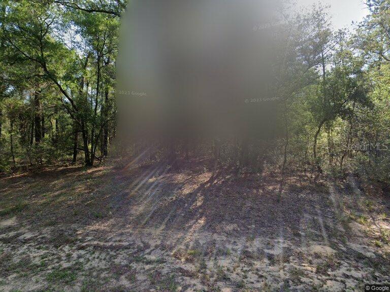 Property for sale at 491 E NEMO DRIVE, DUNNELLON, FL, 34434