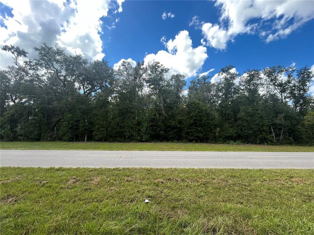Property for sale at TBD CR 337, MORRISTON, FL, 32668