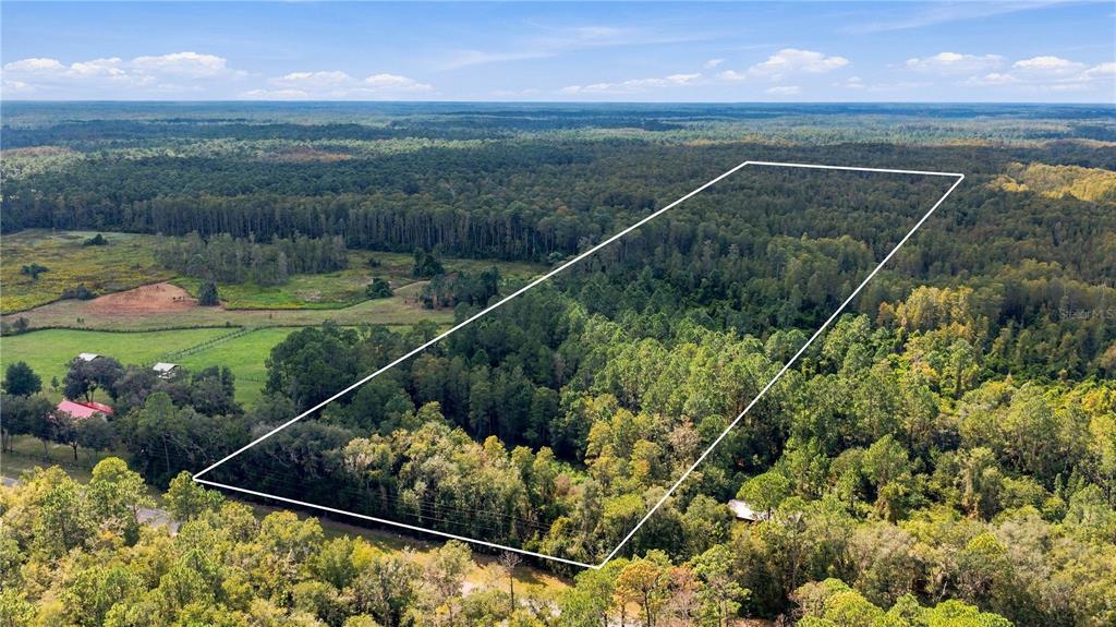 Property for sale at TBD CR 337, MORRISTON, FL, 32668