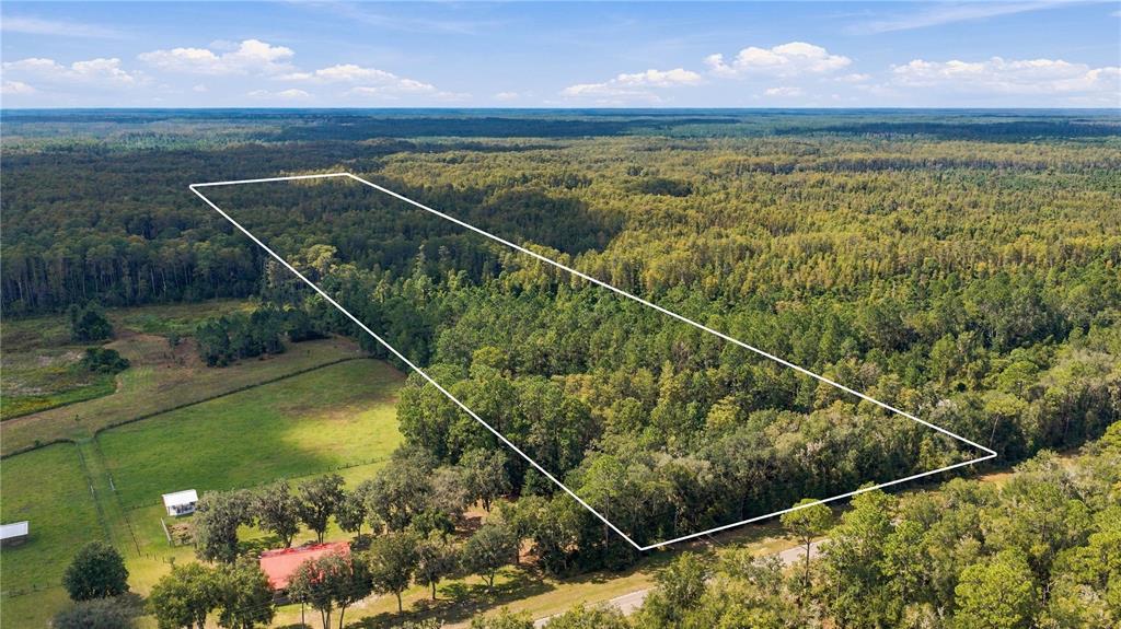 Property for sale at TBD CR 337, MORRISTON, FL, 32668