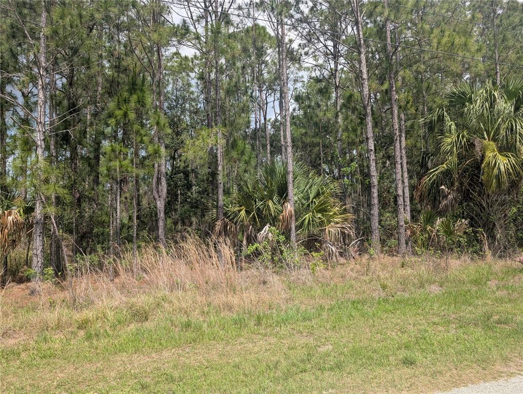 Property for sale at 25 AMARYLLIS DRIVE, INDIAN LAKE ESTATES, FL, 33855
