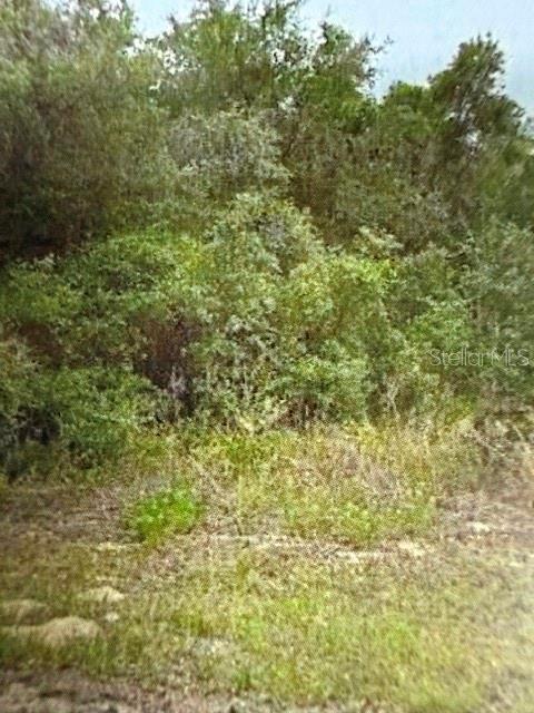 Property for sale at WALTON, DUNNELLON, FL, 34434