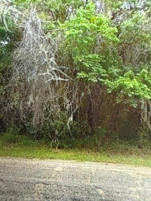 Property for sale at WALTON, DUNNELLON, FL, 34434
