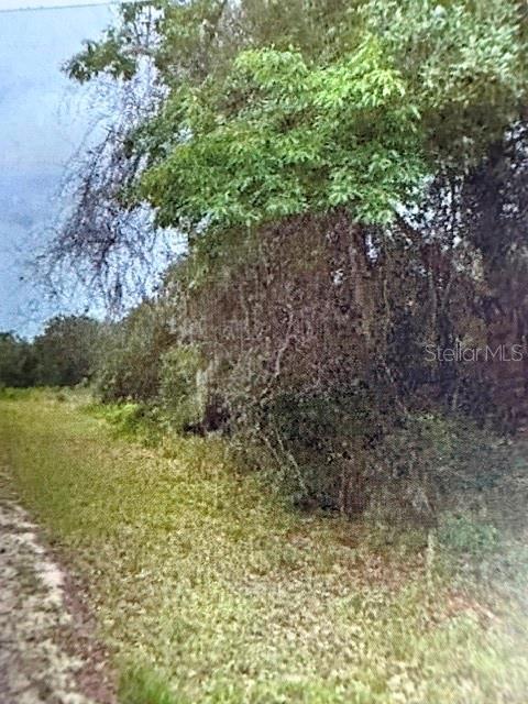 Property for sale at WALTON, DUNNELLON, FL, 34434