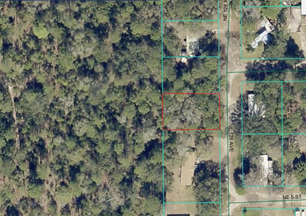Property for sale at Lot 8 NE 128TH AVENUE, SILVER SPRINGS, FL, 34488