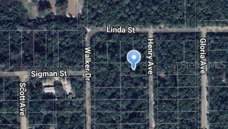 Property for sale at HENRY AVENUE, INTERLACHEN, FL, 32148