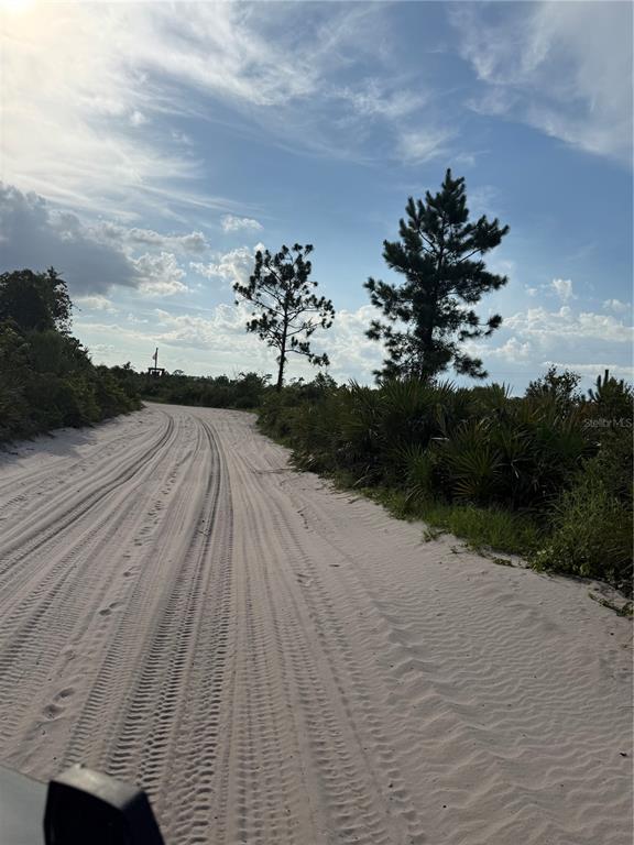 Dirt trail within recreational area