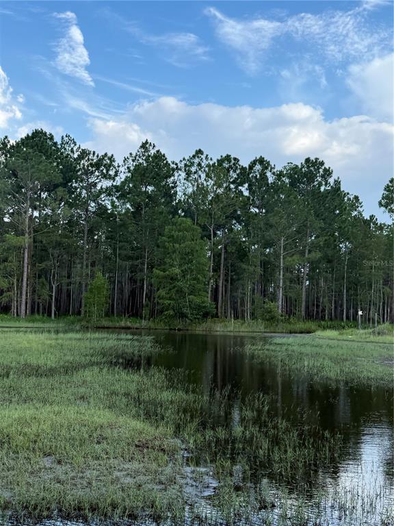 Wetland area