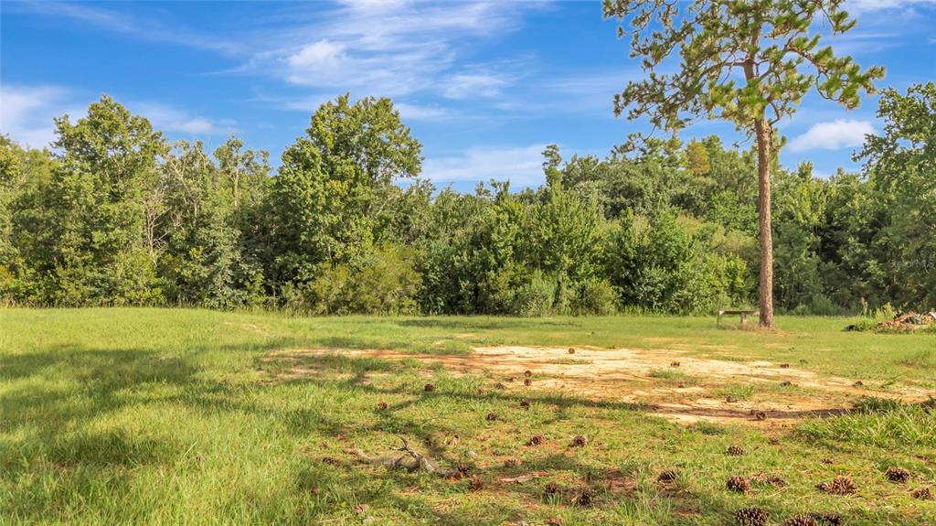 Property for sale at 4541 COUNTY ROAD 561, CLERMONT, FL, 34714