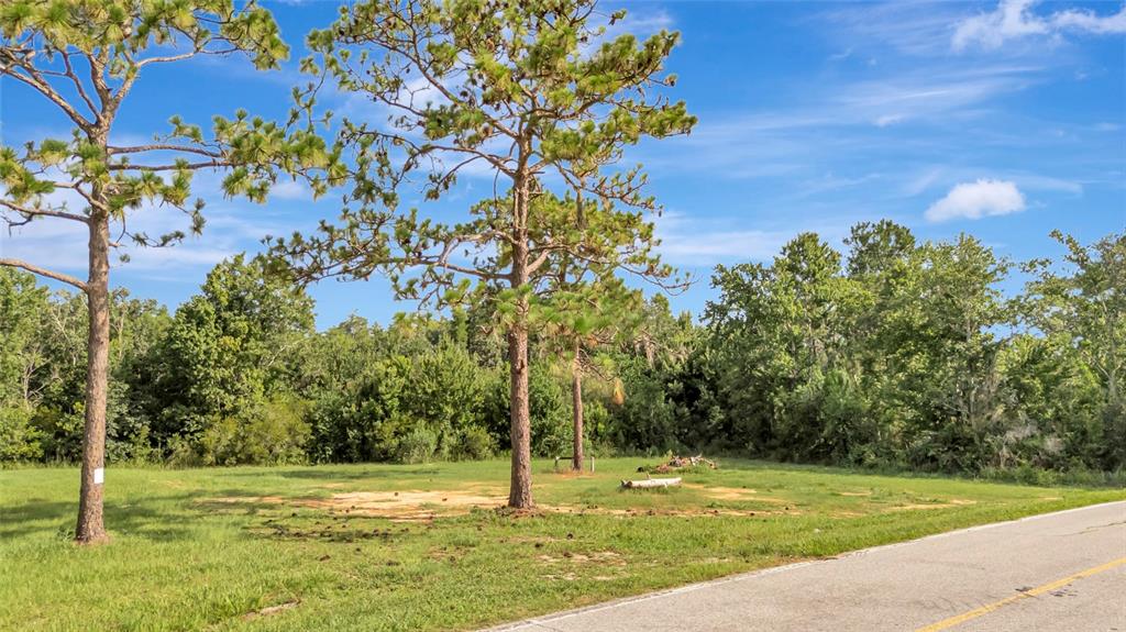 Property for sale at 4541 COUNTY ROAD 561, CLERMONT, FL, 34714
